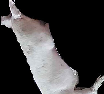 Crop