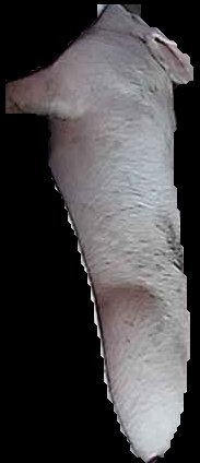 Crop