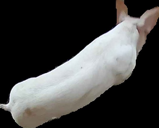 Crop