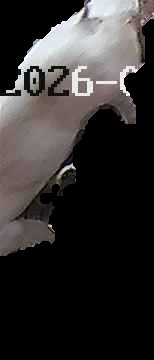 Crop
