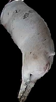 Crop