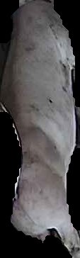 Crop