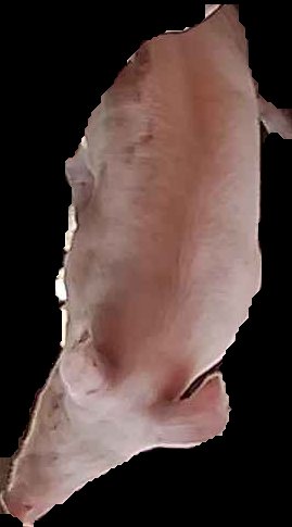 Crop