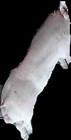 Crop