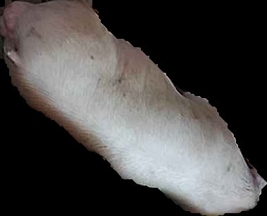 Crop