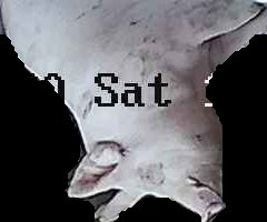 Crop