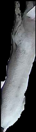 Crop