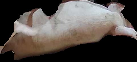 Crop