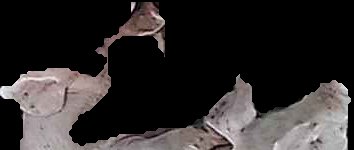 Crop