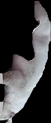 Crop