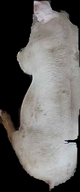 Crop