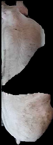 Crop