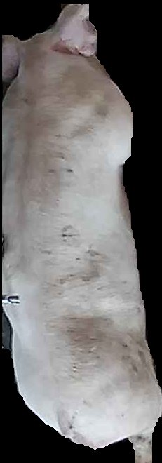 Crop