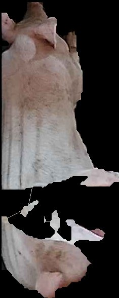 Crop
