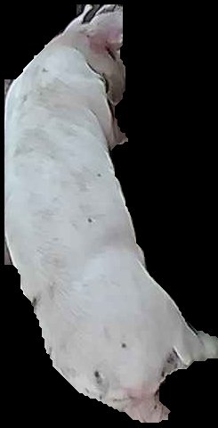 Crop