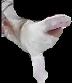 Crop