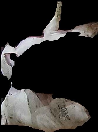 Crop