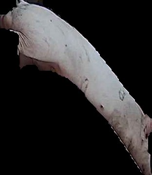 Crop
