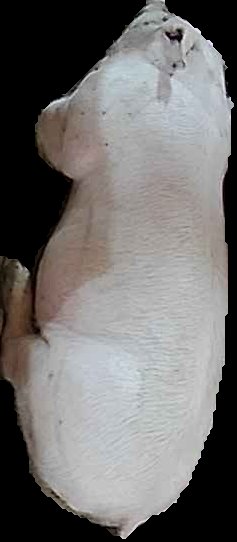 Crop