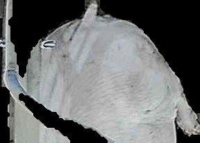 Crop