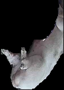 Crop