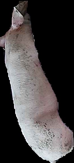 Crop