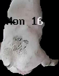 Crop