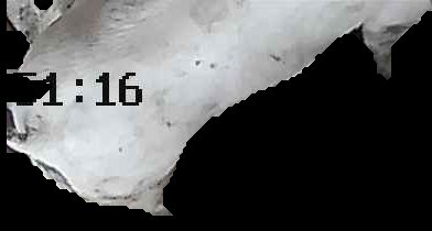 Crop