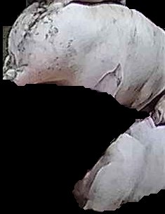 Crop