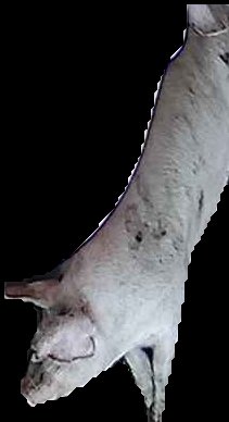 Crop