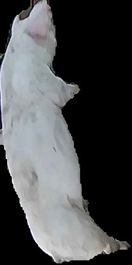 Crop