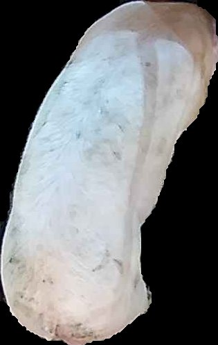 Crop