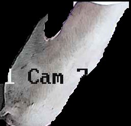 Crop