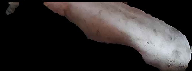 Crop