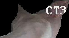 Crop