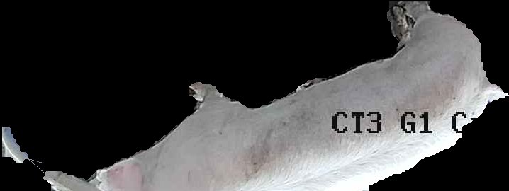 Crop