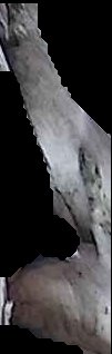Crop