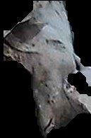 Crop