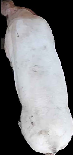 Crop