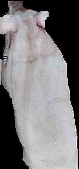 Crop