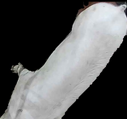 Crop