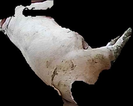Crop