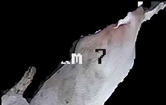 Crop
