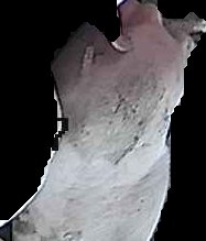 Crop