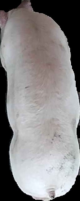 Crop