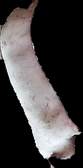 Crop