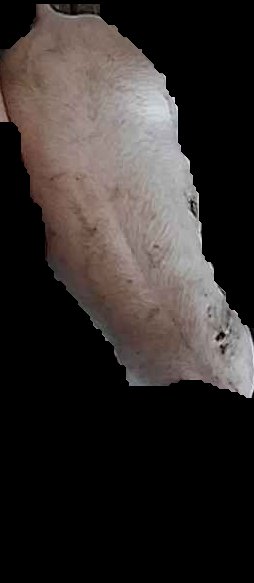 Crop