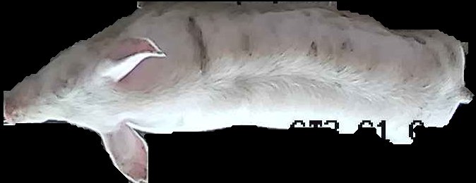 Crop
