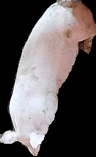 Crop