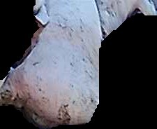Crop